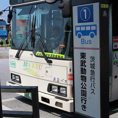 東武動物公園駅から東武動物公園へのアクセス：バス