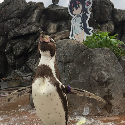東武動物公園駅から東武動物公園へのアクセス