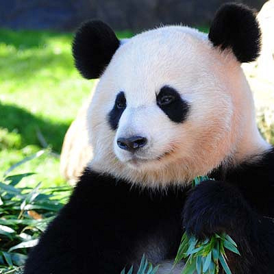 アドベンチャーワールド