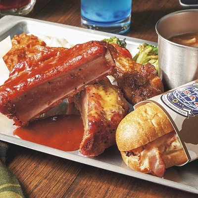 対バイオテロ部隊「BSAA」プレート​