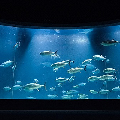 アクアシアター