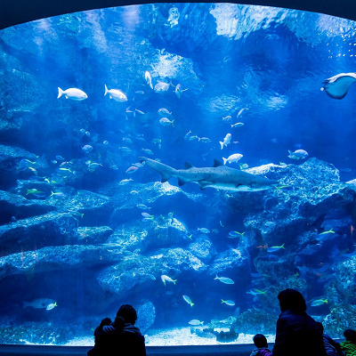 東京スカイツリータウンの水族館