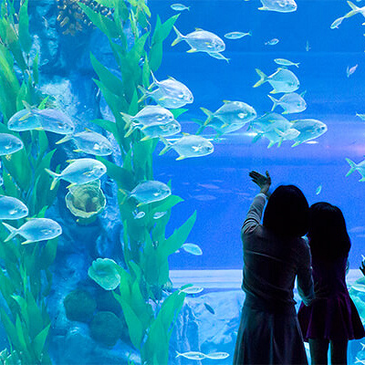 アクアリウム
