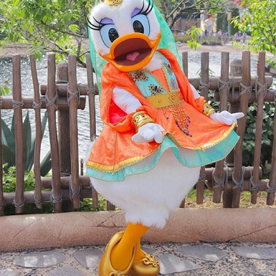 アラビアンコーストのデイジー