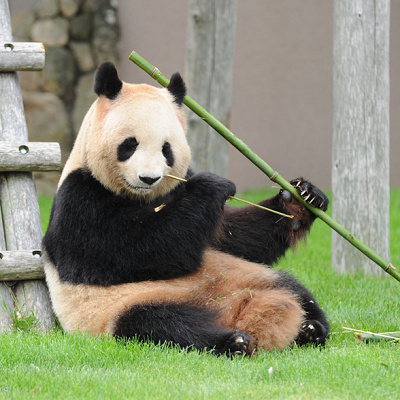 【基本情報】営業時間・住所