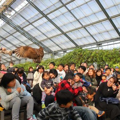 バードパフォマンスショー