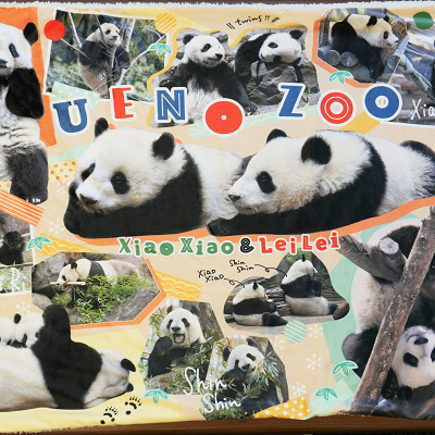 ブランケット　上野のパンダ