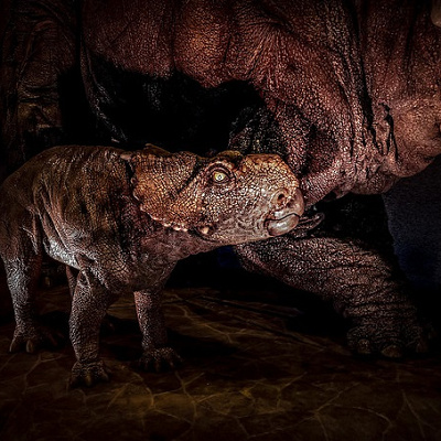 トンネル内を爆走！