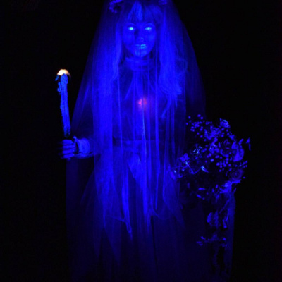 屋根裏部屋の花嫁