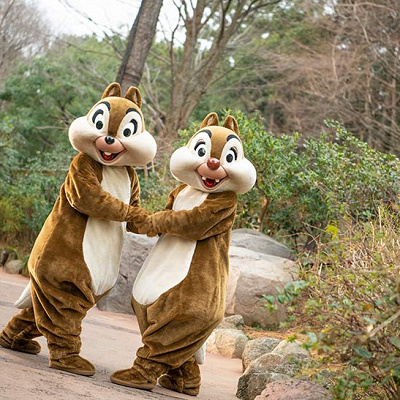 チップとデールの名言③「もうたくさん割ったよね/もう少し割った方がいいよ」