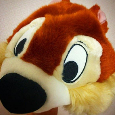 チップのファンキャップ☆