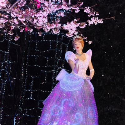 エレクトリカルパレードのシンデレラ