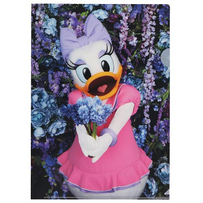 クリアホルダー（デイジー）①