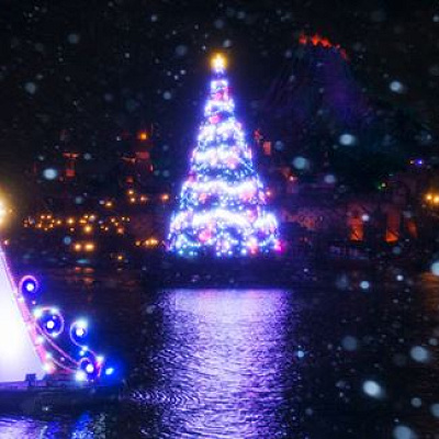 「カラー・オブ・クリスマス」のツリー