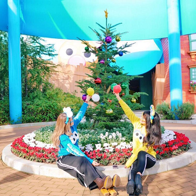 クッキーモンスターとビッグバートコーデ