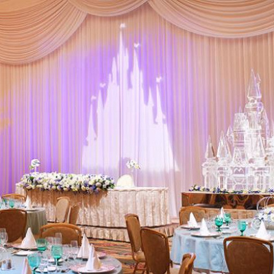 ディズニーの結婚式