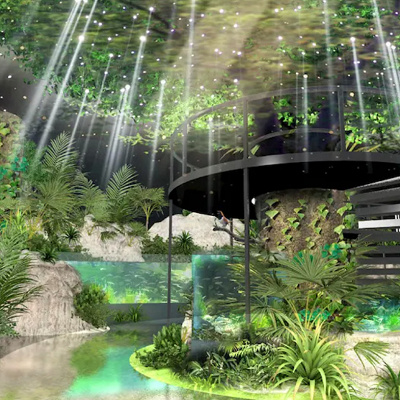 DMMかりゆし水族館の常緑の森