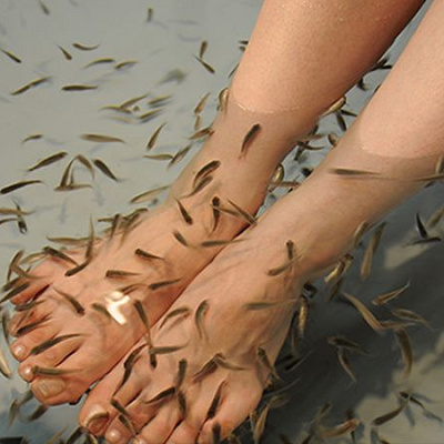 ドクター・キッスフィッシュ