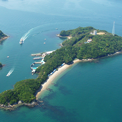 イルカ島
