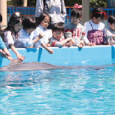 ドルフィンピース