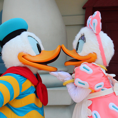 デイジーダックと中睦まじい様子を見せるドナルド