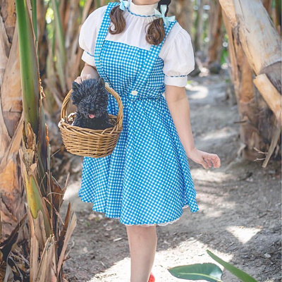ドロシー