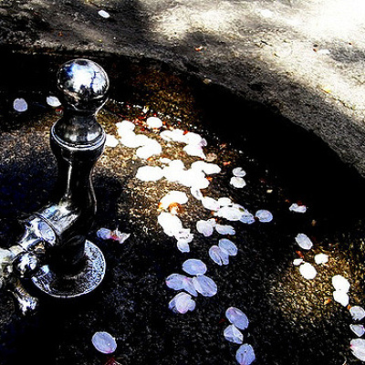 水飲み場や井戸は隠れミッキーがいる可能性大！？