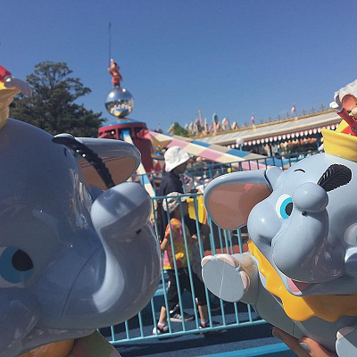 今日もダンボはティモシーと一緒