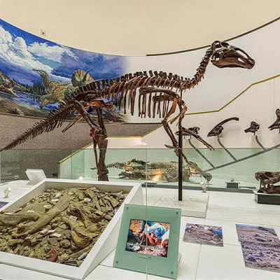 エドモントサウルス展示室