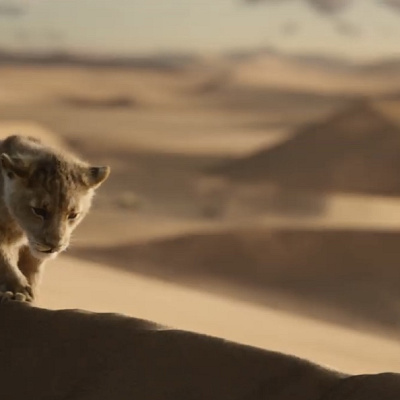 追放されたシンバ