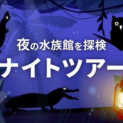 夜の水族館を体験ナイトツアー