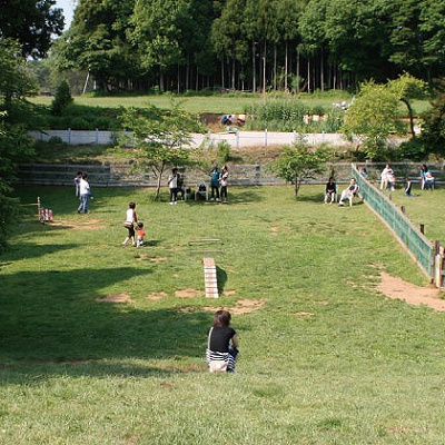 料金（利用料金・犬・車）