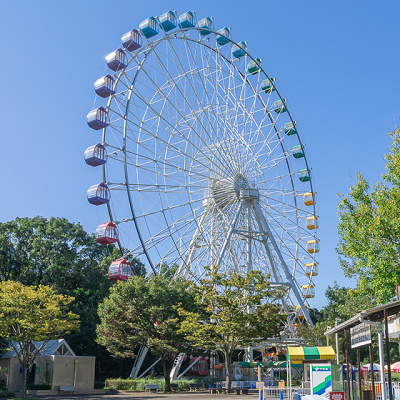 大観覧車