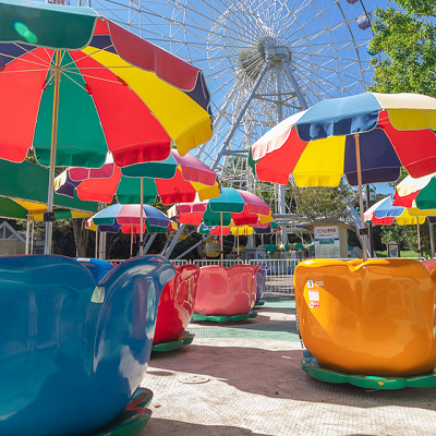 フラワーカップ