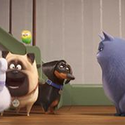 (前列左から)ギジェット、メル、バディ、クロエ　(階段にいるインコ)スイートピー