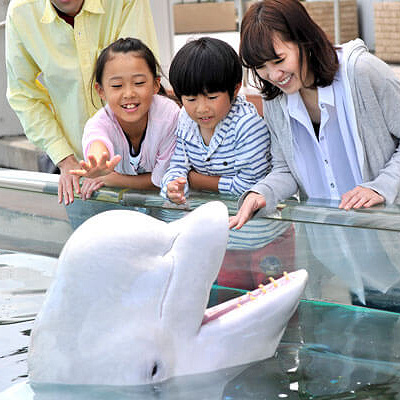 ふれあいラグーン