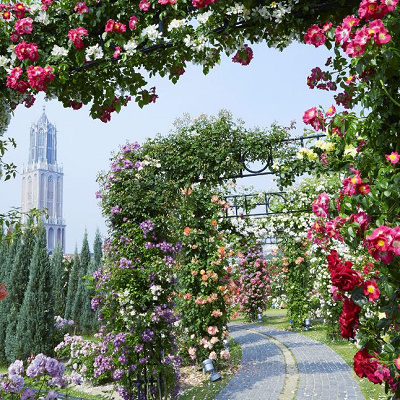 お得な再入園パスポートをゲットしよう