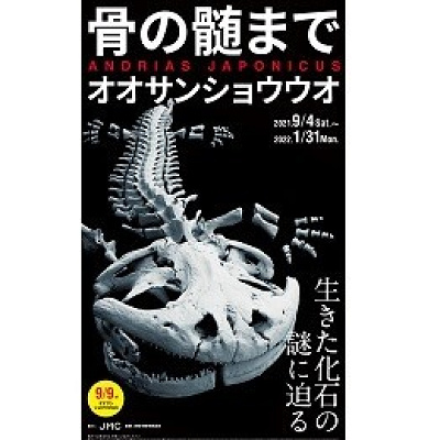 骨の髄までオオサンショウウオ