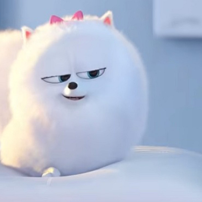 ギジェット／映画『ペット』