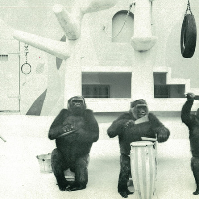 当時のゴリラショー