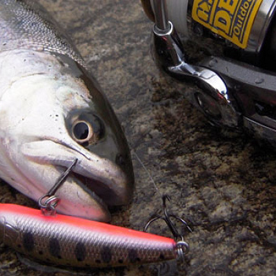 その場で塩焼き