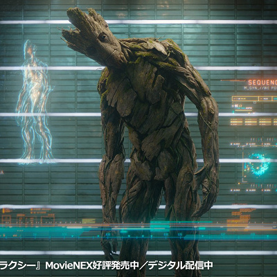 グルート