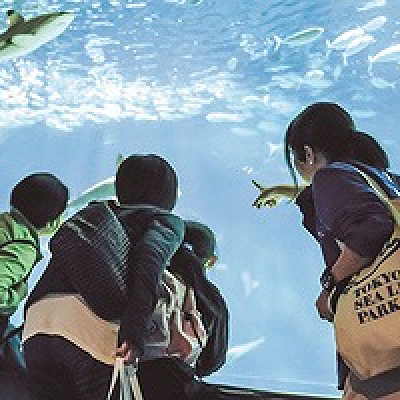 葛西臨海水族園ではガイドツアーも人気です