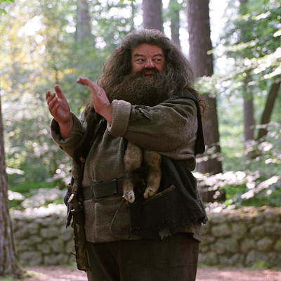 ハリポタ魔法生物：ハグリッドの元にいるヒッポグリフのバックビーク