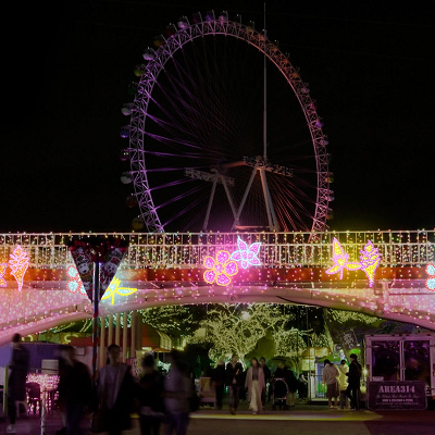 ヘラの宮廷／よみうりランドのイルミネーション