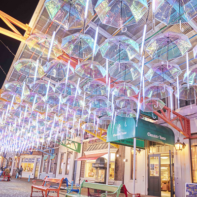 見どころ④：イルミネーション「白銀の世界～ウィンターヨーロッパ～」