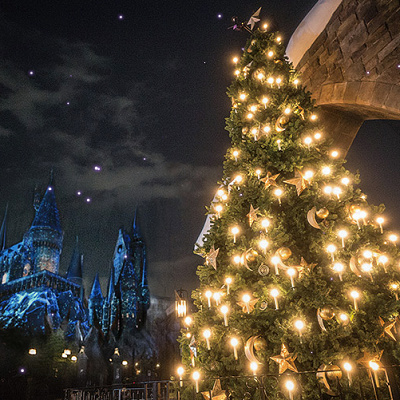 ホグズミード村のクリスマス・ツリー