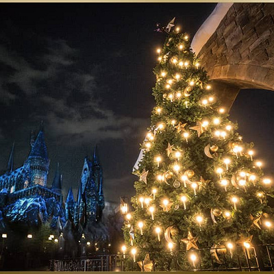 ホグズミート村のクリスマスツリー