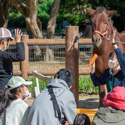ウマのなかよし教室