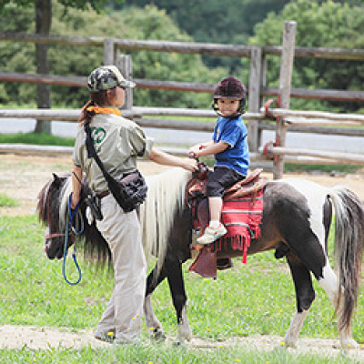 乗馬体験
